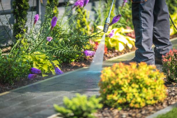 Best Commercial Pressure Washing in Minnetonka, MN